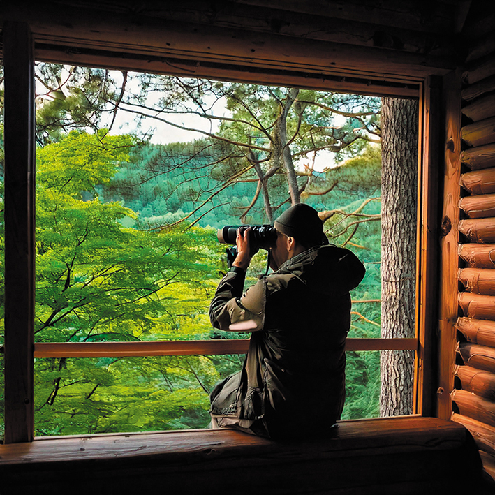 【予算縛りナシ】夢のプランを大公開 「バードウォッチング小屋」