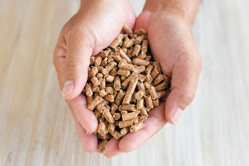 教えて！　ペレットストーブのこと②